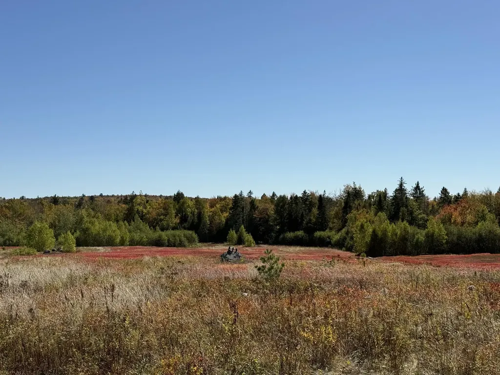 MAP19LOT28 Leach Road Penobscot ME 04476