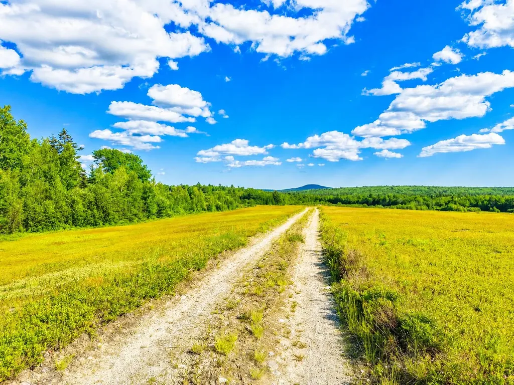 MAP19LOT28 Leach Road Penobscot ME 04476
