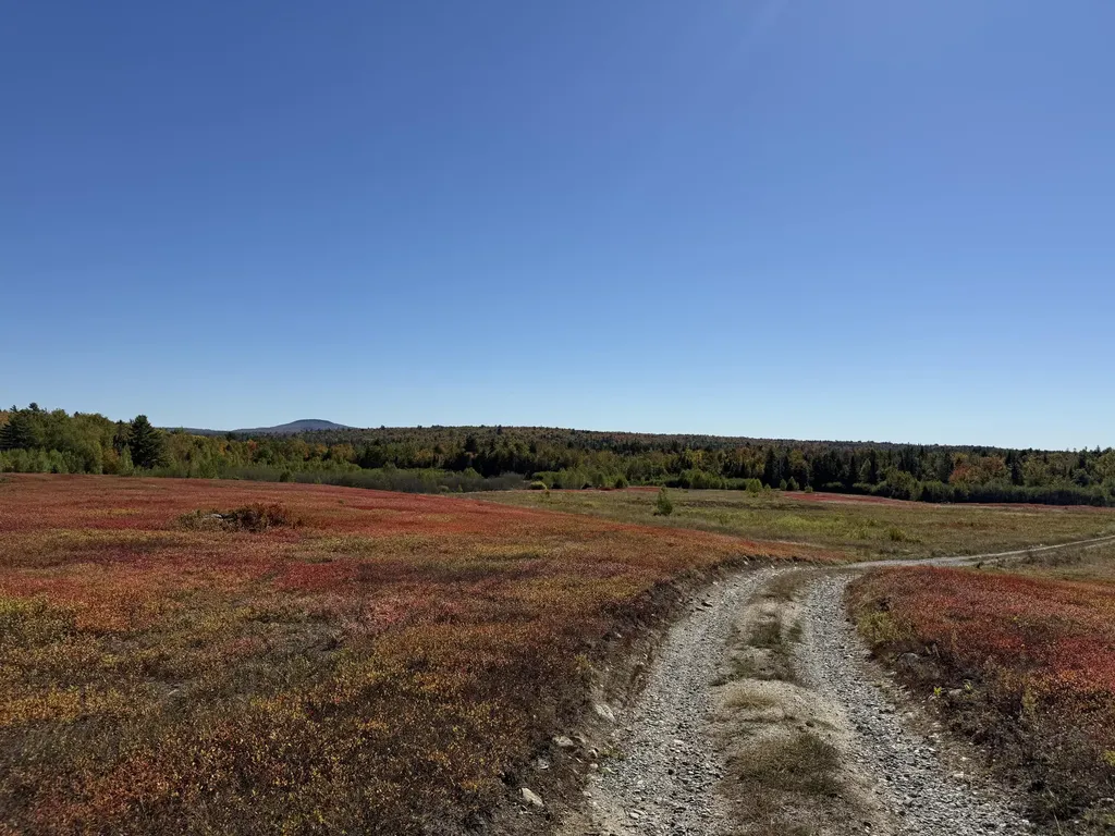 MAP19LOT28 Leach Road Penobscot ME 04476