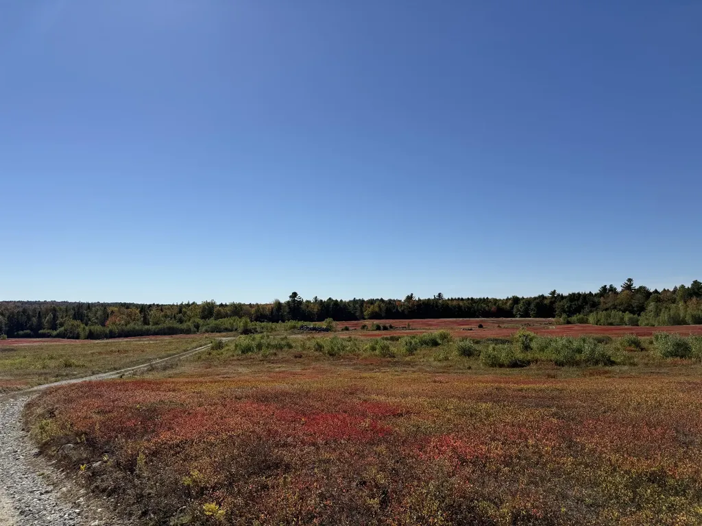 MAP19LOT28 Leach Road Penobscot ME 04476