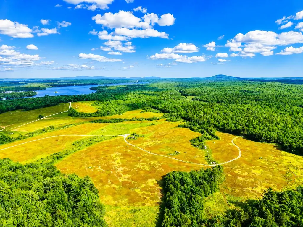 MAP19LOT28 Leach Road Penobscot ME 04476