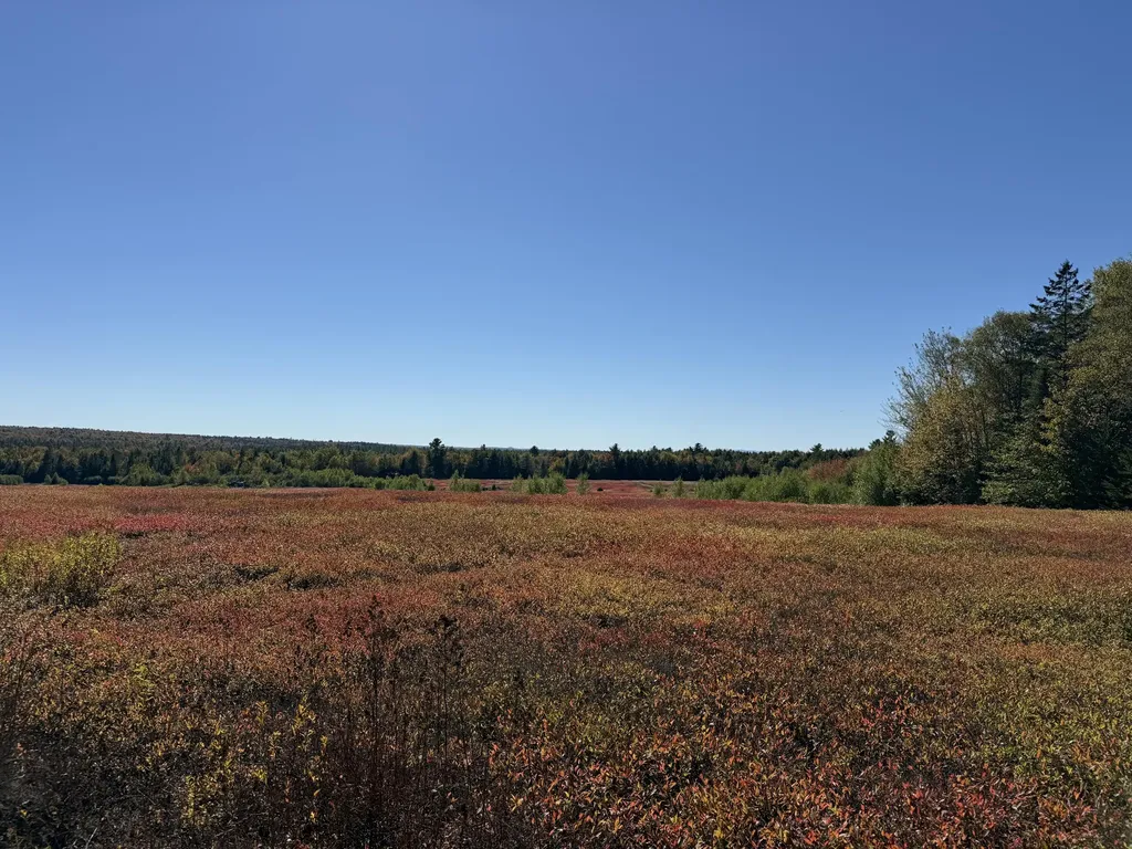 MAP19LOT28 Leach Road Penobscot ME 04476