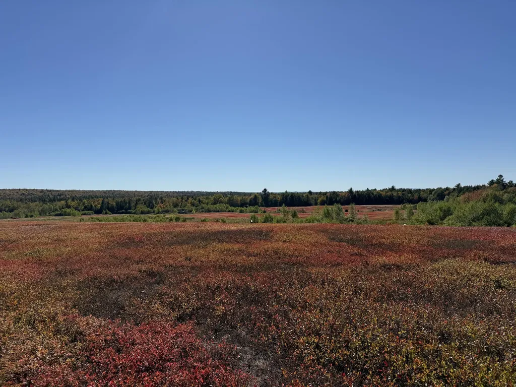 MAP19LOT28 Leach Road Penobscot ME 04476