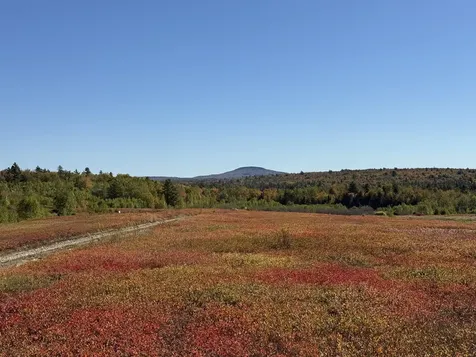MAP19LOT28 Leach Road Penobscot ME 04476