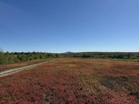 MAP19LOT28 Leach Road Penobscot ME 04476