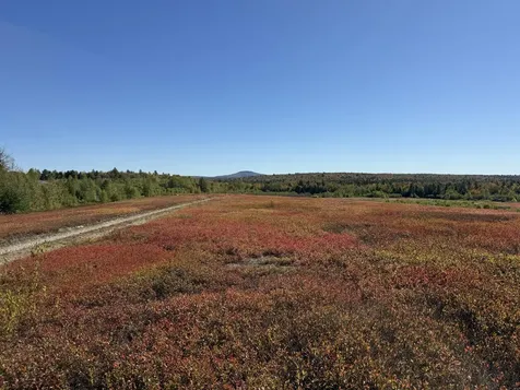 MAP19LOT28 Leach Road Penobscot ME 04476