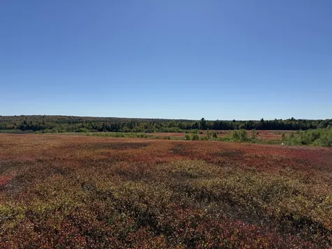 MAP19LOT28 Leach Road Penobscot ME 04476