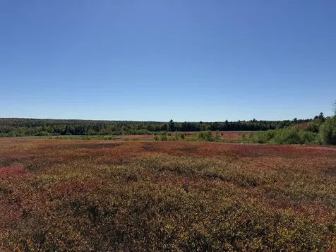 MAP19LOT28 Leach Road Penobscot ME 04476