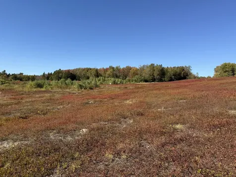 MAP19LOT28 Leach Road Penobscot ME 04476