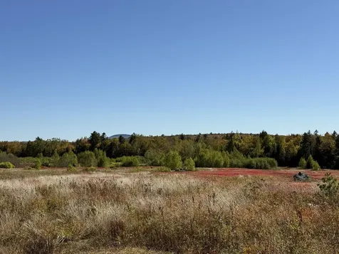 MAP19LOT28 Leach Road Penobscot ME 04476