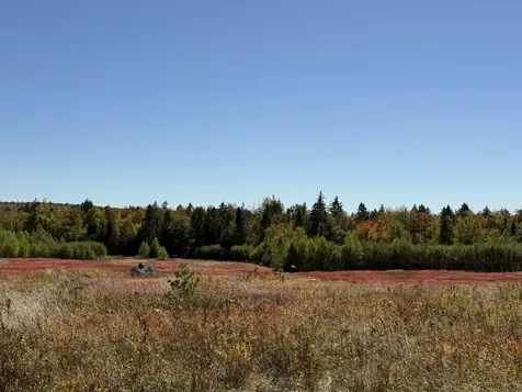 MAP19LOT28 Leach Road Penobscot ME 04476