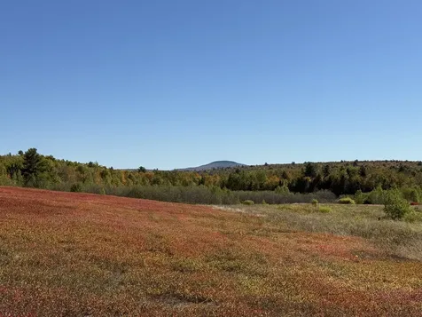 MAP19LOT28 Leach Road Penobscot ME 04476