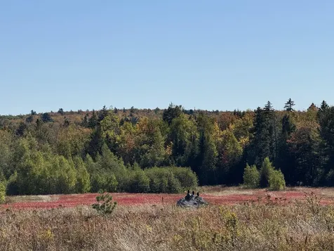 MAP19LOT28 Leach Road Penobscot ME 04476