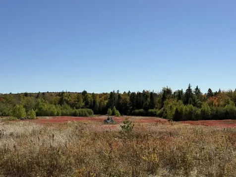 MAP19LOT28 Leach Road Penobscot ME 04476