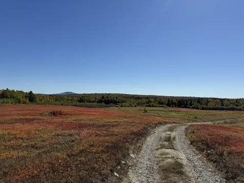 MAP19LOT28 Leach Road Penobscot ME 04476