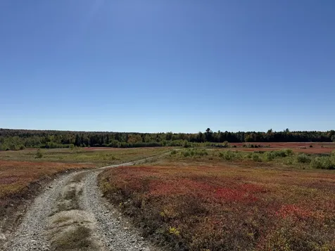 MAP19LOT28 Leach Road Penobscot ME 04476
