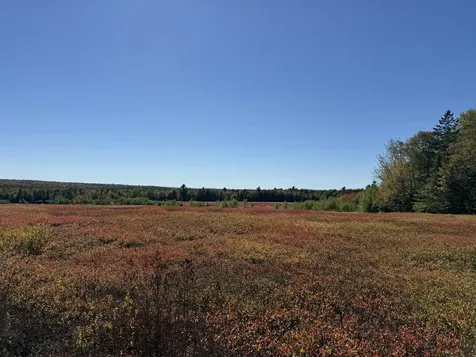 MAP19LOT28 Leach Road Penobscot ME 04476