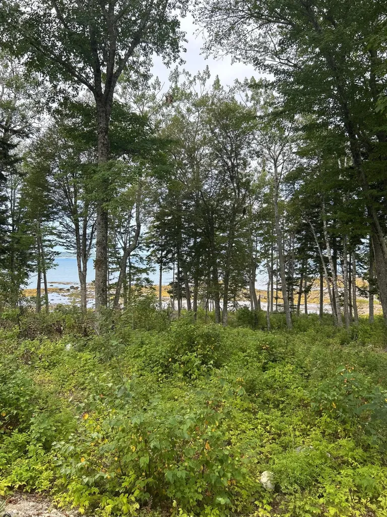 216 S Estates Road Steuben ME 04680