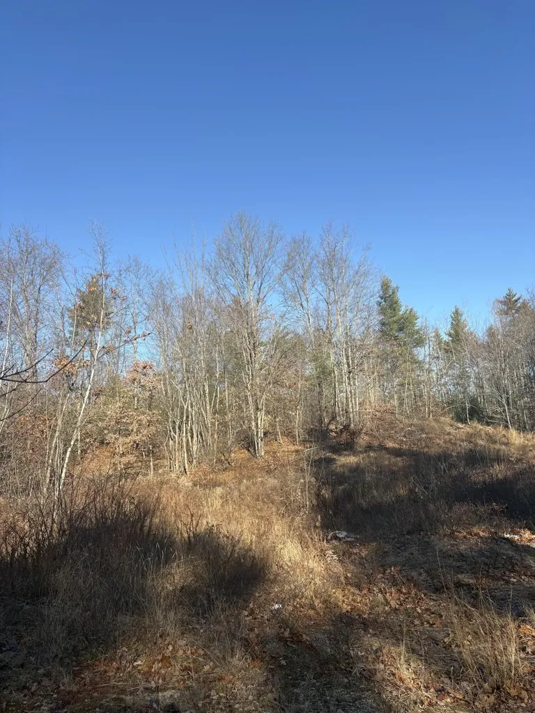 Lot 4 Baldwin Road (Route 11) Baldwin ME 04024