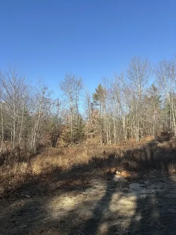 Lot 4 Baldwin Road (Route 11) Baldwin ME 04024