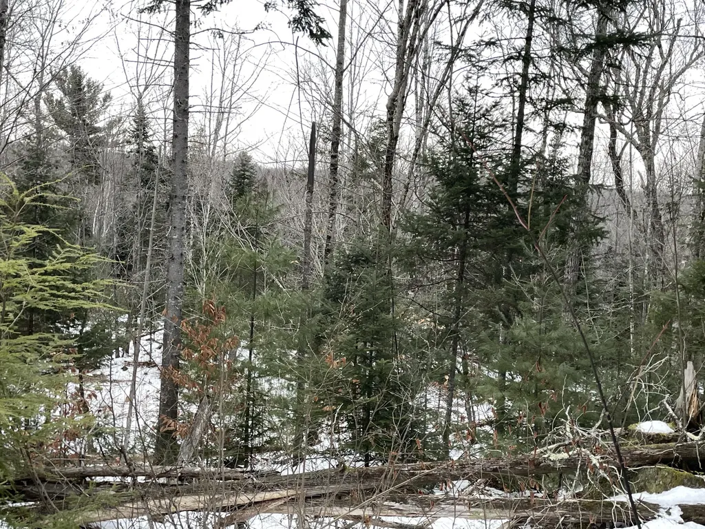 Lot# Trafton Road Harmony ME 04942