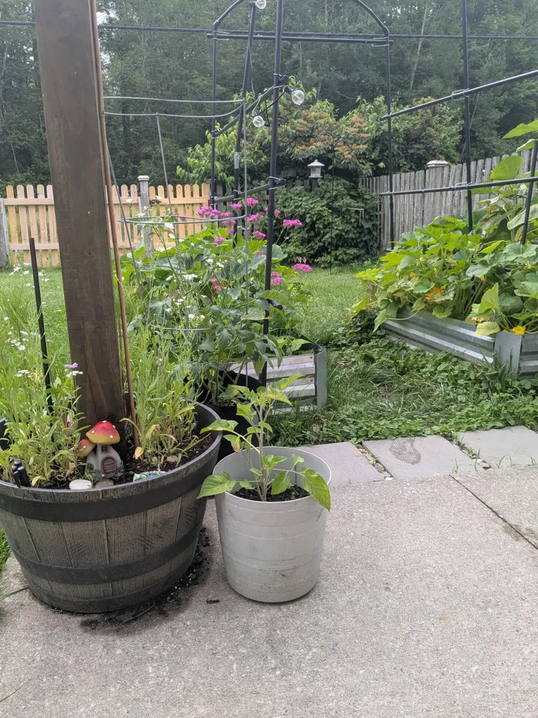 11 Antietam Street Brunswick ME 04011