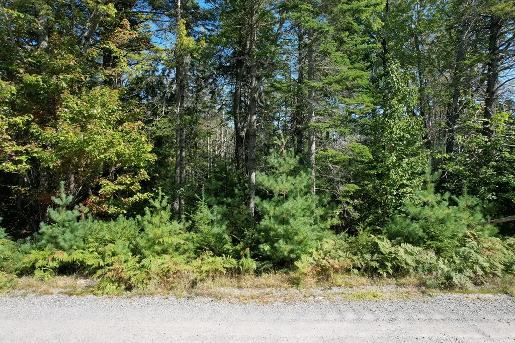 Lot 4 Kennel Brook Drive Lamoine ME 04605