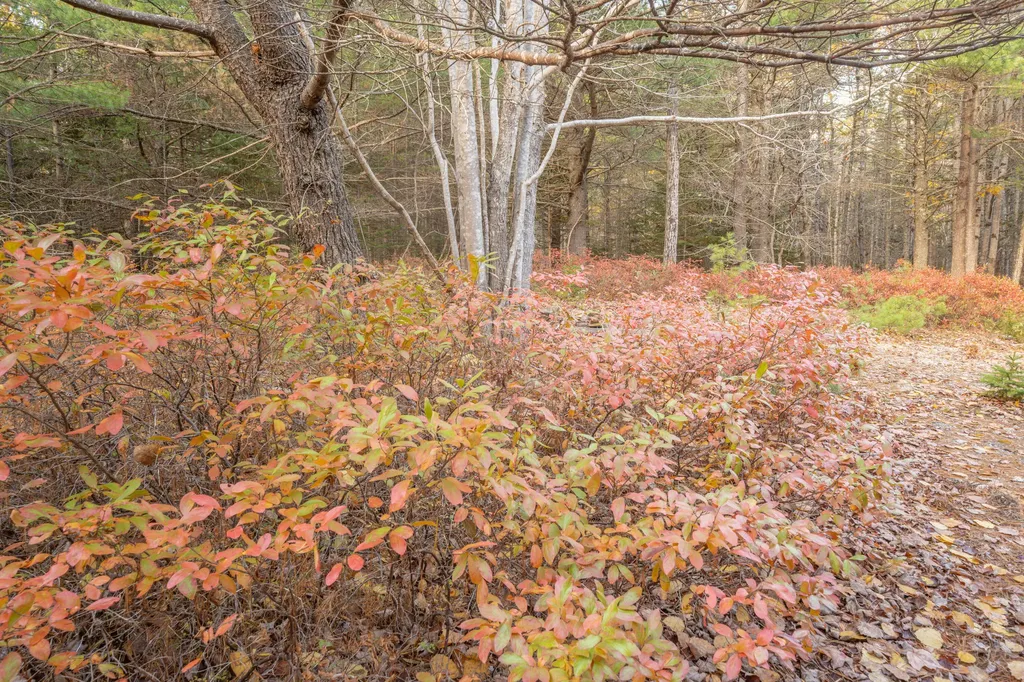 12 Hall Quarry Road Mount Desert ME 04660