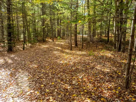 12 Hall Quarry Road Mount Desert ME 04660