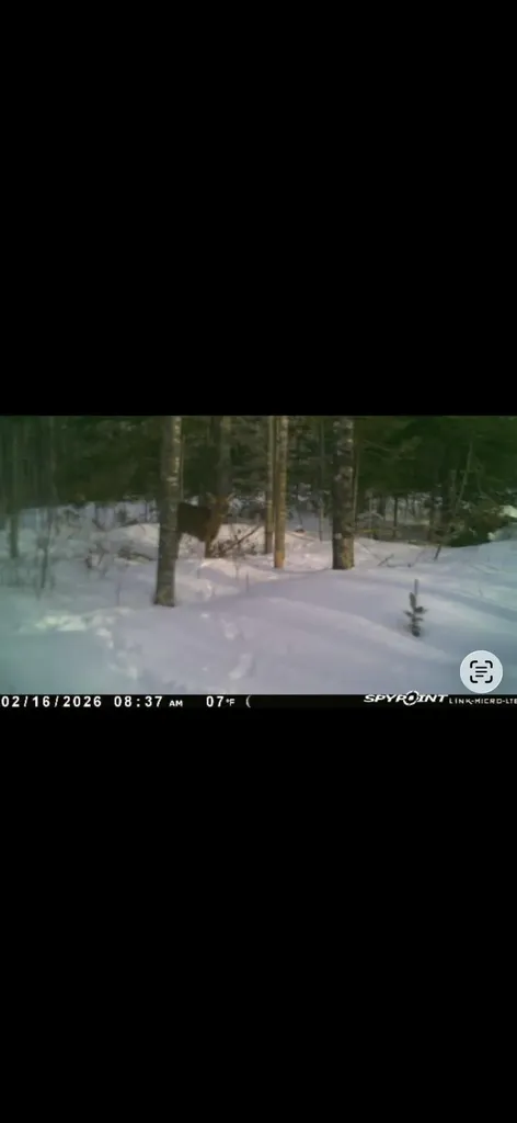 60 Clements Road Winterport ME 04496