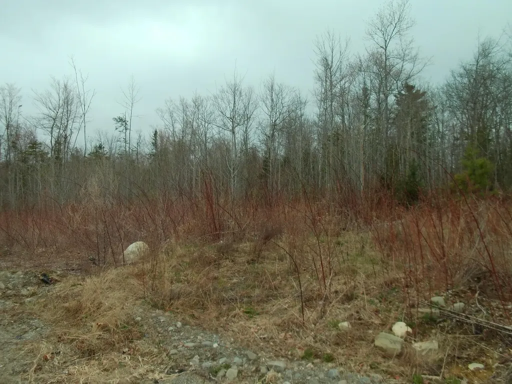 60 Clements Road Winterport ME 04496