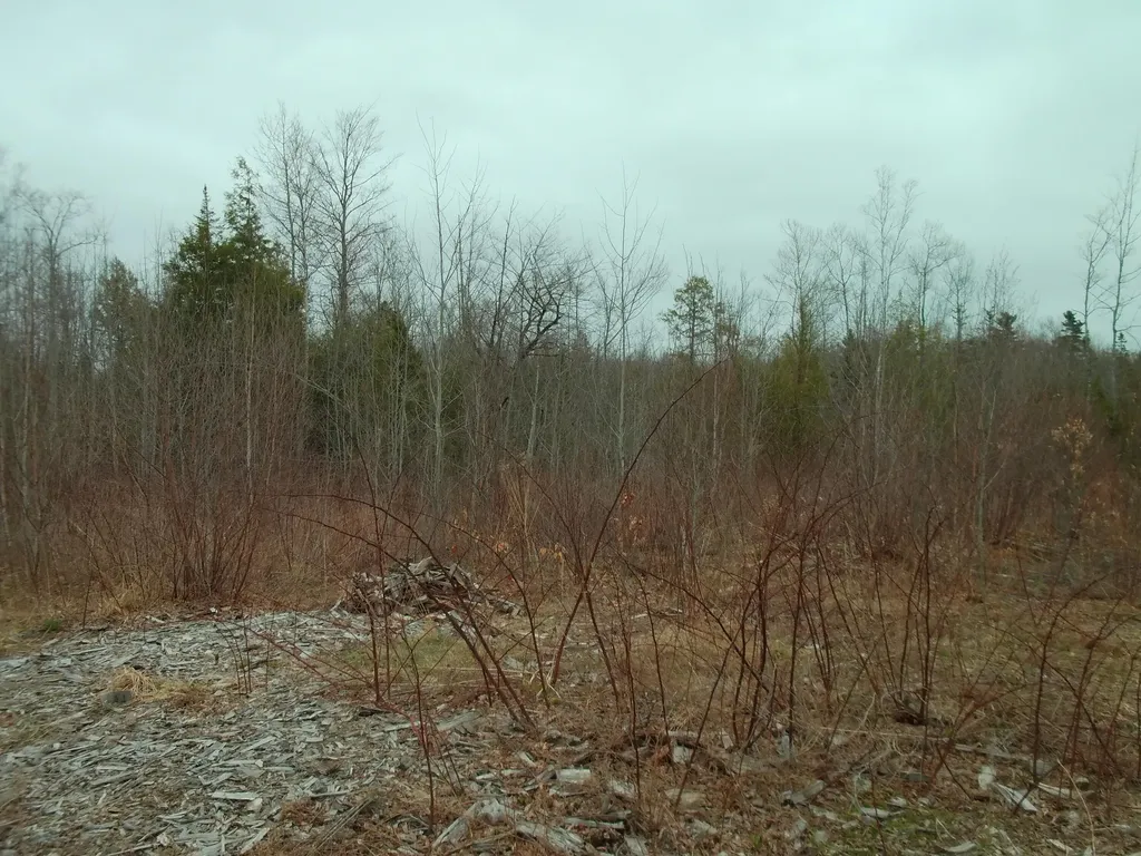 60 Clements Road Winterport ME 04496