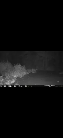 60 Clements Road Winterport ME 04496
