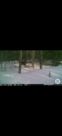 60 Clements Road Winterport ME 04496