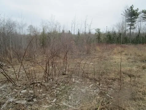 60 Clements Road Winterport ME 04496