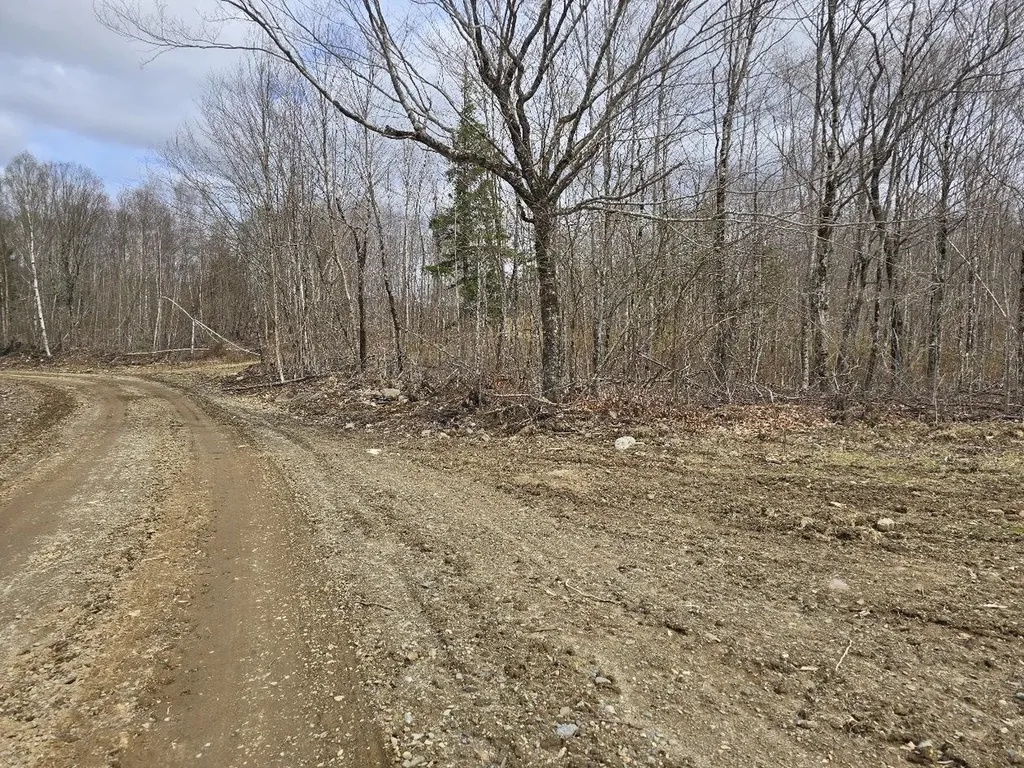 Lot 6s Treadwell Hill Road Springfield ME 04487