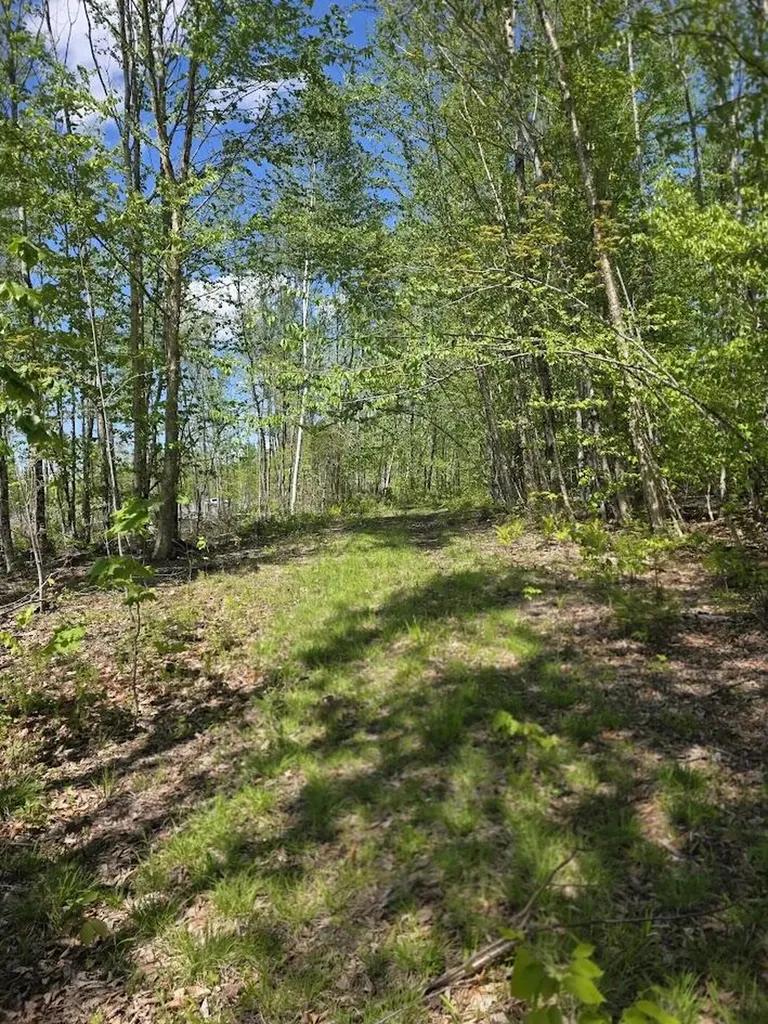 Lot 6s Treadwell Hill Road Springfield ME 04487