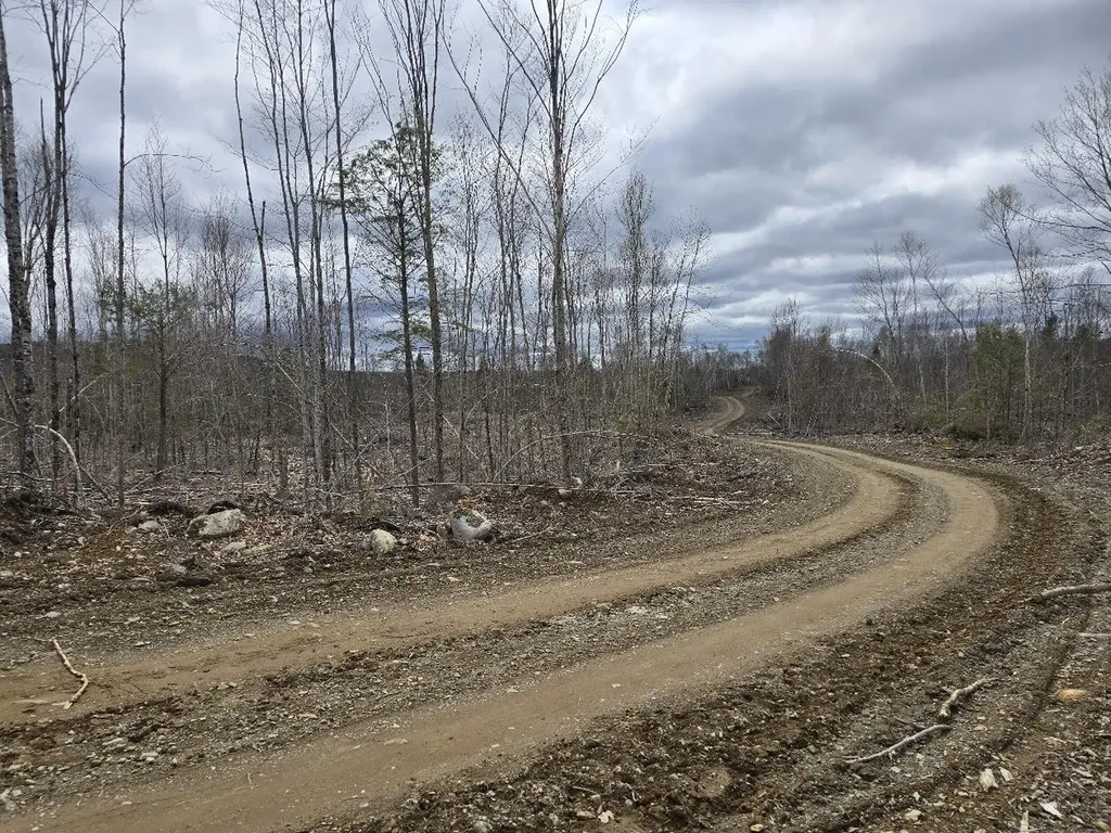 Lot 6s Treadwell Hill Road Springfield ME 04487