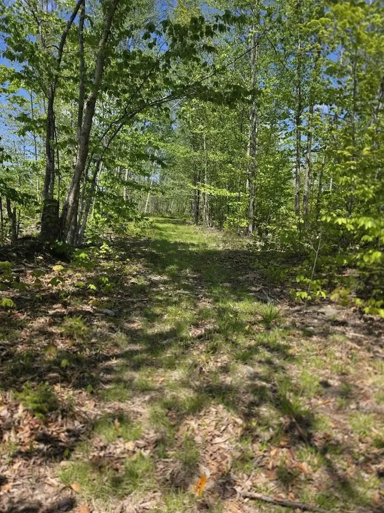 Lot 6s Treadwell Hill Road Springfield ME 04487