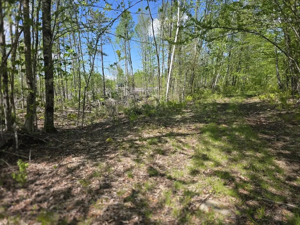 Lot 6s Treadwell Hill Road Springfield ME 04487