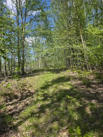 Lot 6s Treadwell Hill Road Springfield ME 04487