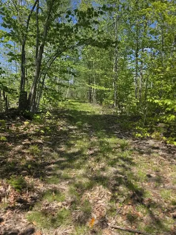 Lot 6s Treadwell Hill Road Springfield ME 04487
