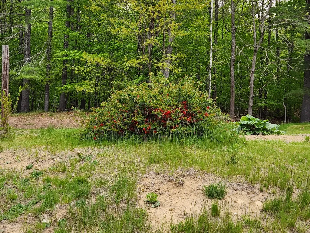 51 Wyman Hill Road Rumford ME 04276