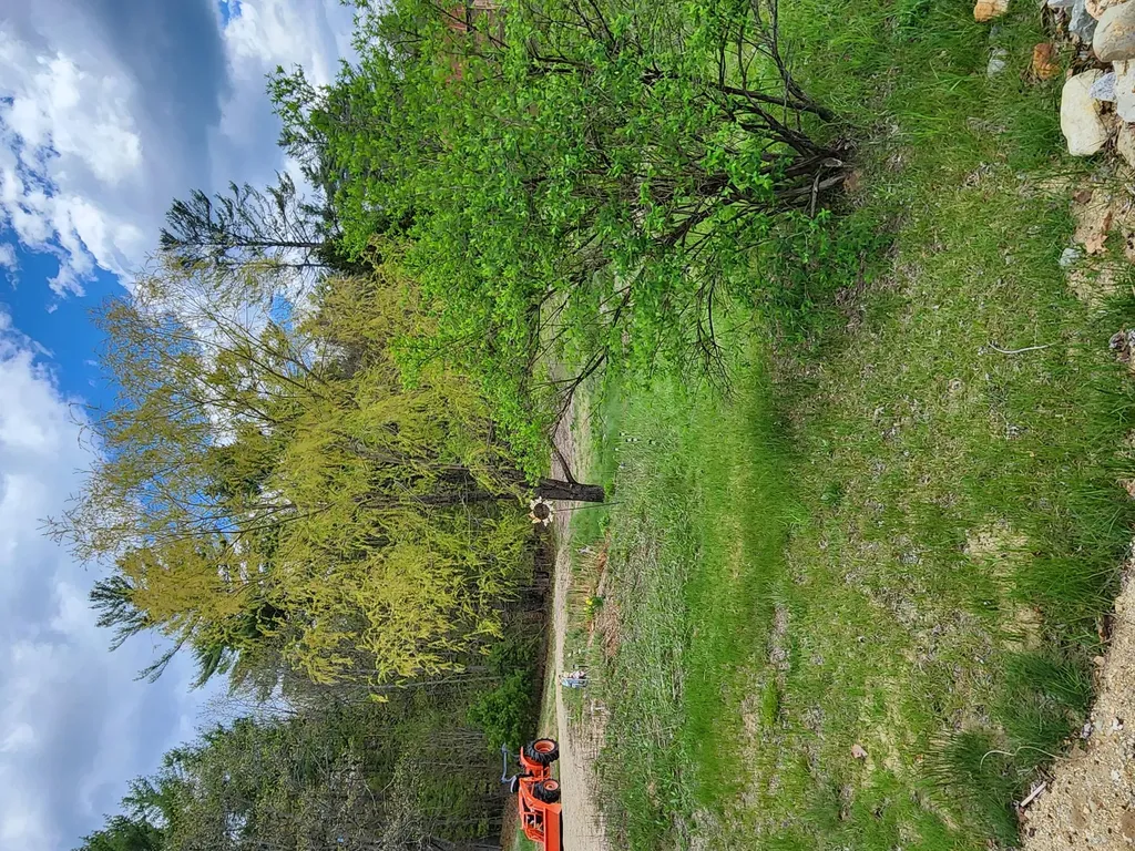 51 Wyman Hill Road Rumford ME 04276