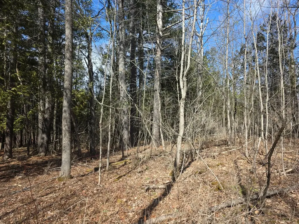 M18LOT 11 Main Street Clinton ME 04927