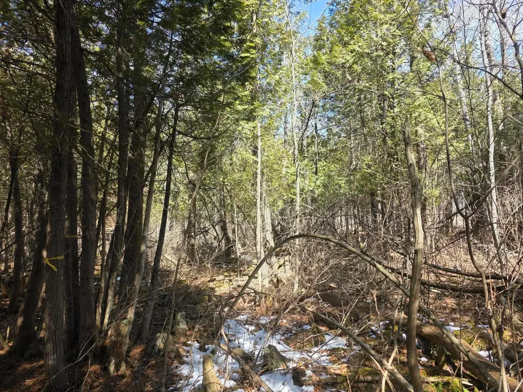 M18LOT 11 Main Street Clinton ME 04927