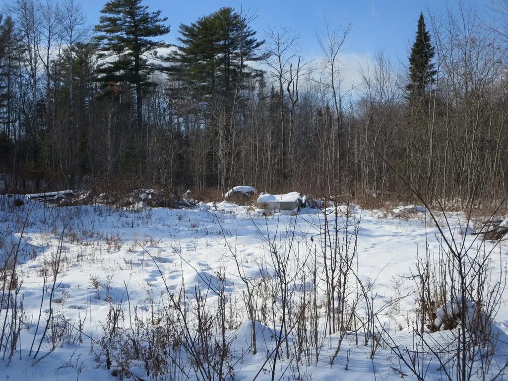 Lot 6-1 Harmon Street Milo ME 04463