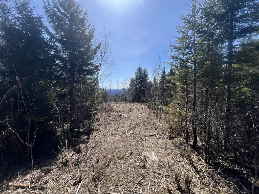 13 Moose Alley Road Temple ME 04984