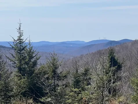 13 Moose Alley Road Temple ME 04984