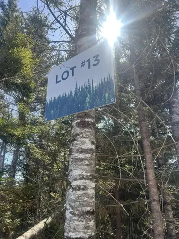 13 Moose Alley Road Temple ME 04984